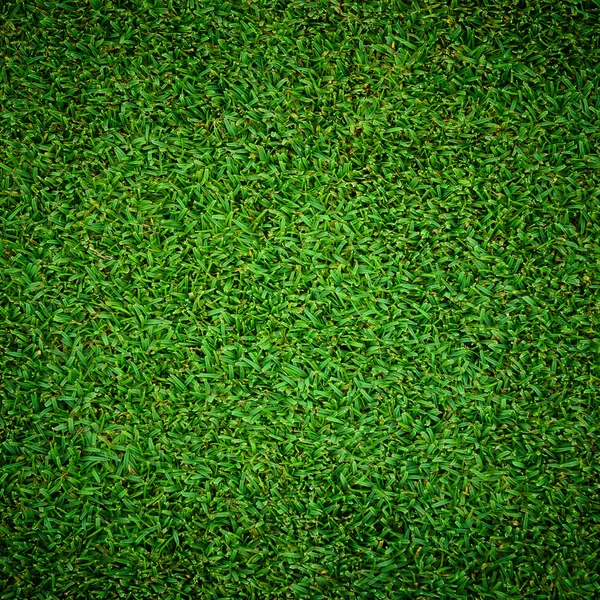 Grama verde padrão de golfe — Fotografia de Stock