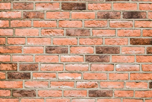 desen renkli doku tarzı modern tasarım dekoratif tuğla wa