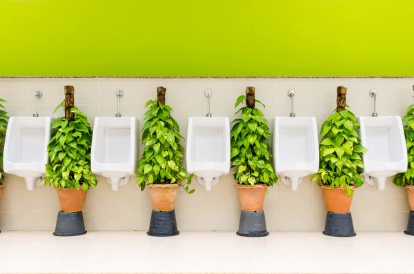 Bagno interno con fila di orinatoi bianchi e piante ornamentali — Foto Stock