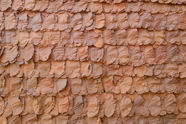 Decorative dry leaves on traditional wall — Stock Photo, Image