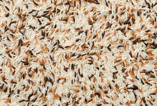 Detail of uncooked mix rice grains background — Stock Photo, Image