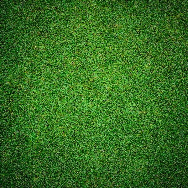 Background and texture of Beautiful green grass pattern — Stock Photo, Image