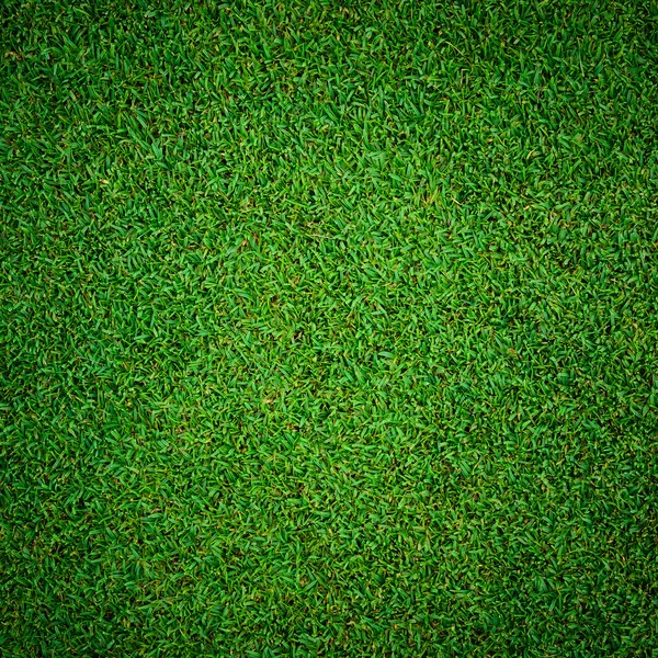 Fundo de belo padrão de grama verde do campo de golfe — Fotografia de Stock