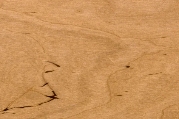 Fondo de la superficie de madera de abedul — Foto de Stock