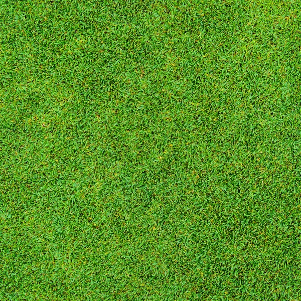 Background and texture of Beautiful green grass pattern — Stock Photo, Image