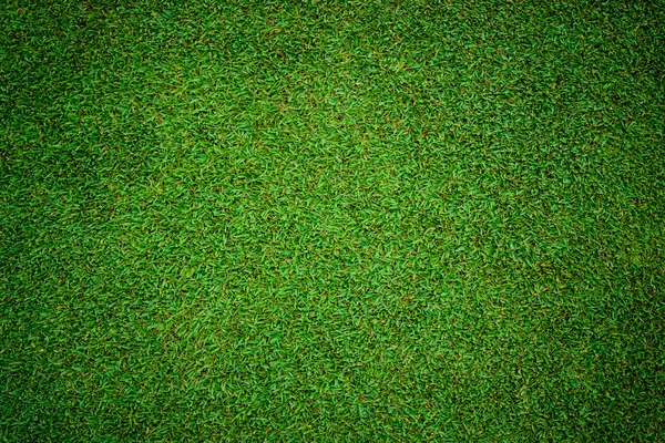 Fundo e textura do belo padrão de grama verde — Fotografia de Stock