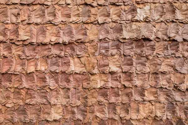 Διακοσμητικά ξηρών φύλλων στο παραδοσιακό τοίχο — Φωτογραφία Αρχείου