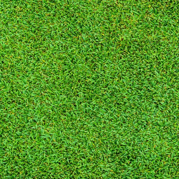 Background and texture of Beautiful green grass pattern — Stock Photo, Image