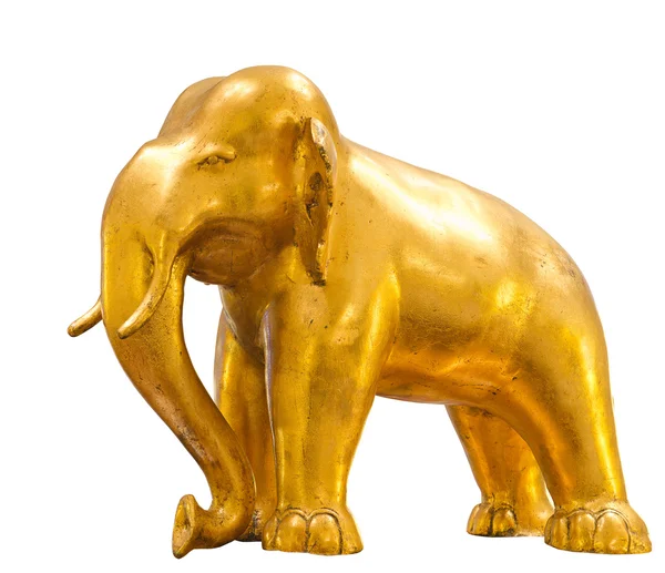 Golden elephant stående — Stockfoto