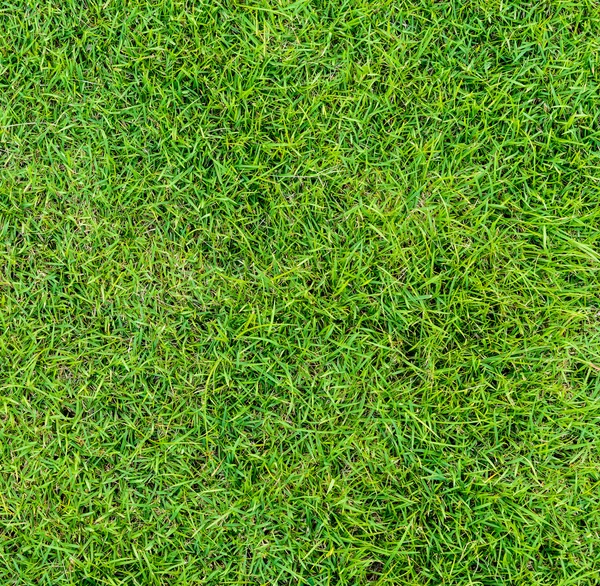 Groen gras patroon van golfbaan op zonsondergang tim — Stockfoto