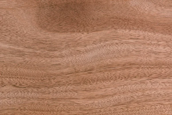 Natura modello di legno di teak superficie decorativa mobili — Foto Stock