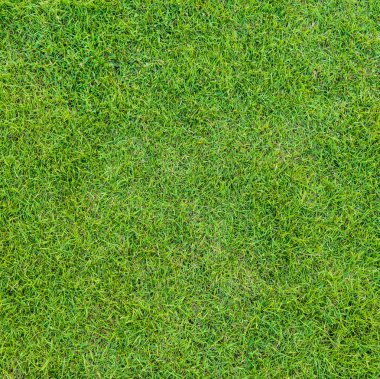  golf sahasında günbatımı tim yeşil çim desen