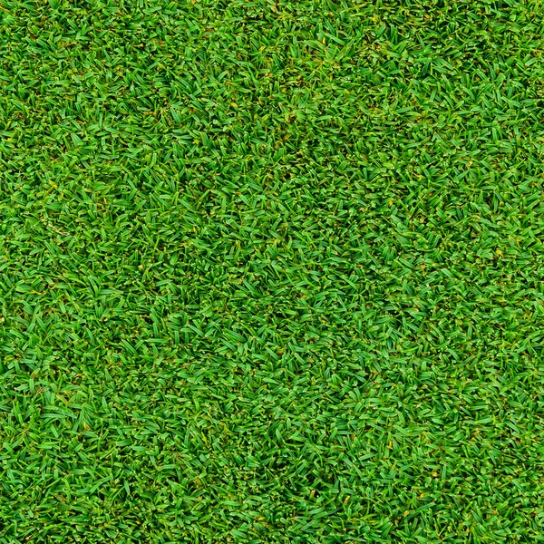 Background and texture of Beautiful green grass pattern — Stock Photo, Image