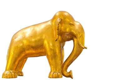 Altın fil ayakta
