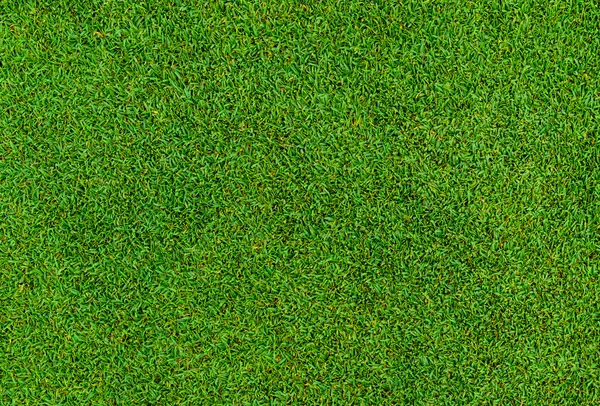 Background and texture of Beautiful green grass pattern — Stock Photo, Image