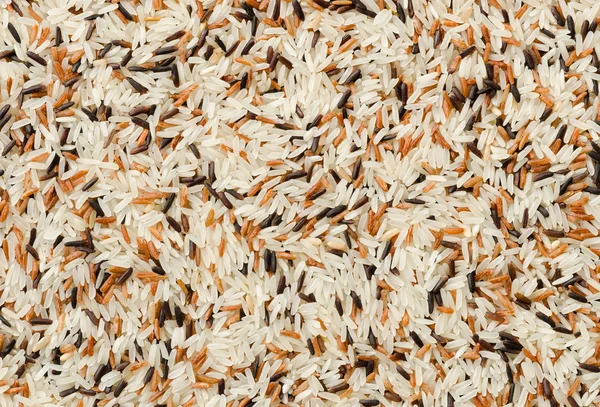 Detail of uncooked mix rice grains background — Stock Photo, Image