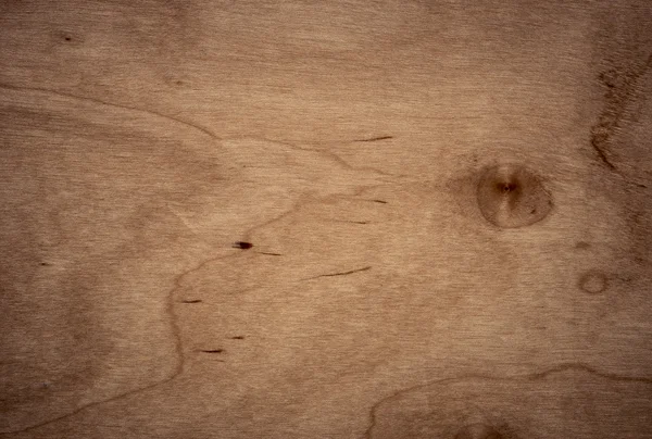 Background of Birch wood surface — Stock Photo, Image