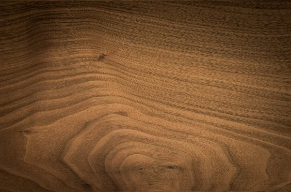 Bakgrund av valnöt träets yta — Stockfoto