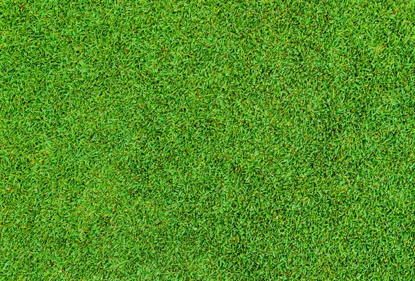 Background and texture of Beautiful green grass pattern — Stock Photo, Image