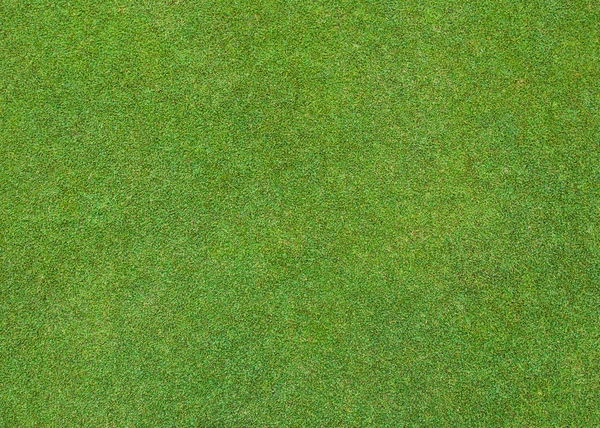 Belo padrão de grama verde — Fotografia de Stock
