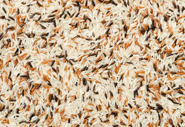 Dettaglio di fondo riso mix crudo grani — Foto Stock