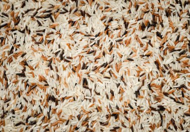 pişmemiş mix pirinç taneleri arka plan detay 