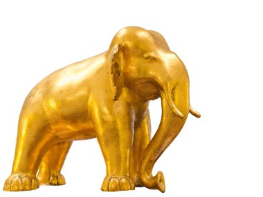 Altın fil ayakta