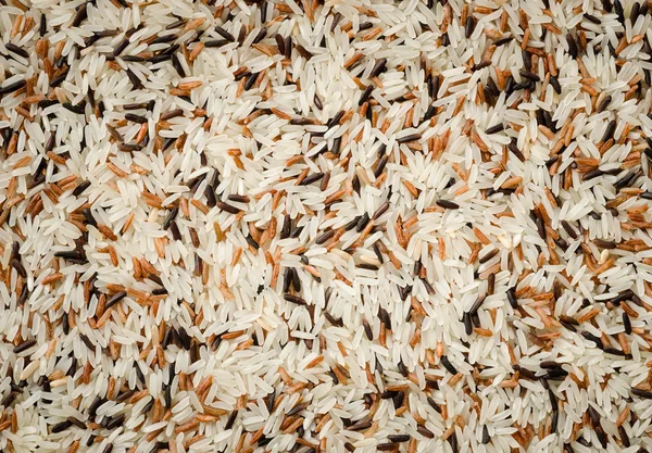 Szczegół tło ziarna ryżu surowe wymieszać — Zdjęcie stockowe