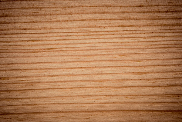 фон поверхности сосны
