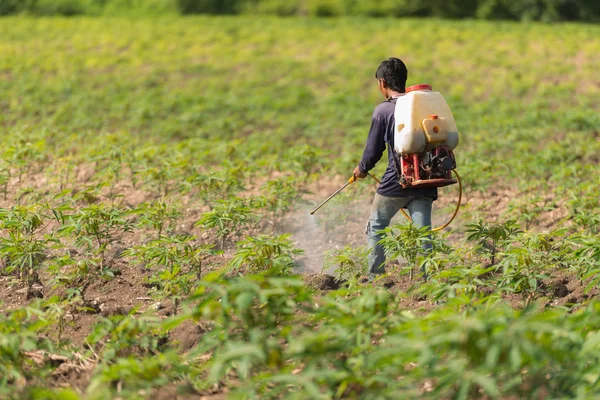 Homem agricultor para pulverizar herbicidas ou fertilizantes químicos no fi — Fotografia de Stock