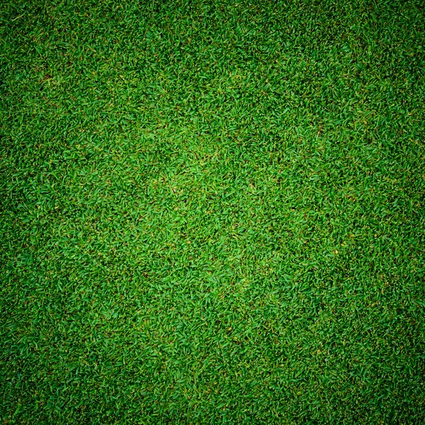 高尔夫球场上美丽的绿草图案 — 图库照片
