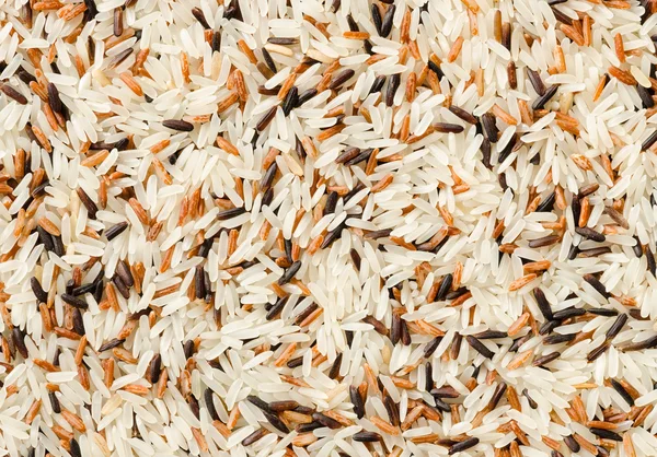 Szczegół tło ziarna ryżu surowe wymieszać — Zdjęcie stockowe