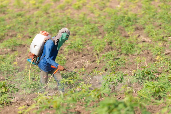 Gårdbruker til å spraye ugressmidler eller kjemisk gjødsel på fi – stockfoto