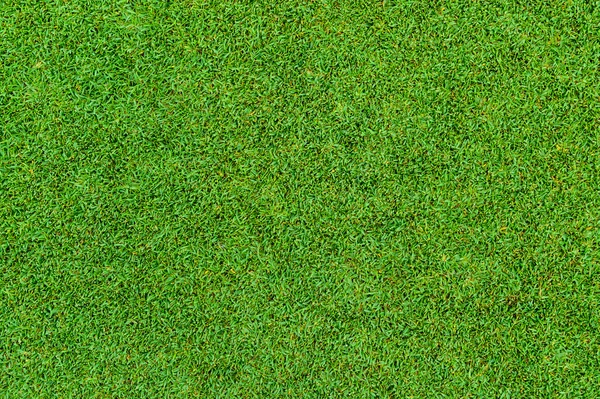 Фон и текстура красивой зеленой травы — стоковое фото