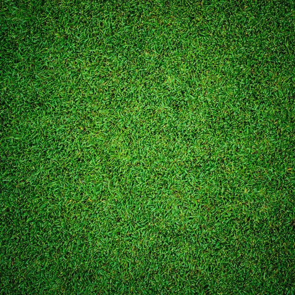 Background and texture of Beautiful green grass pattern — Stock Photo, Image