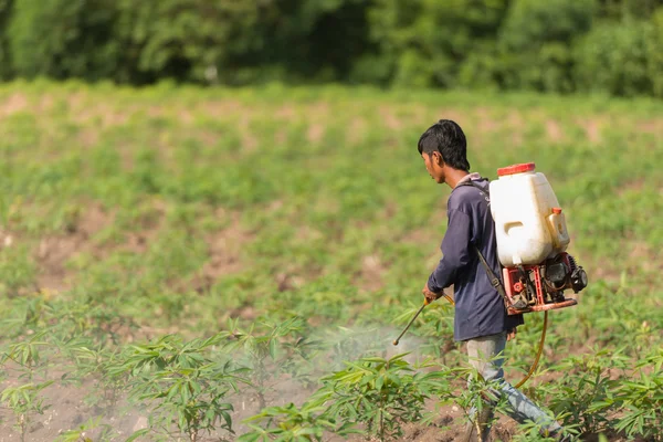 Homem agricultor para pulverizar herbicidas ou fertilizantes químicos no fi — Fotografia de Stock