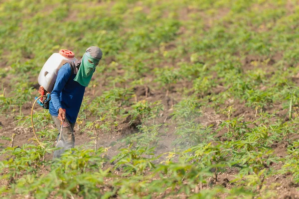Hombre agricultor para rociar herbicidas o fertilizantes químicos en la fi — Foto de Stock