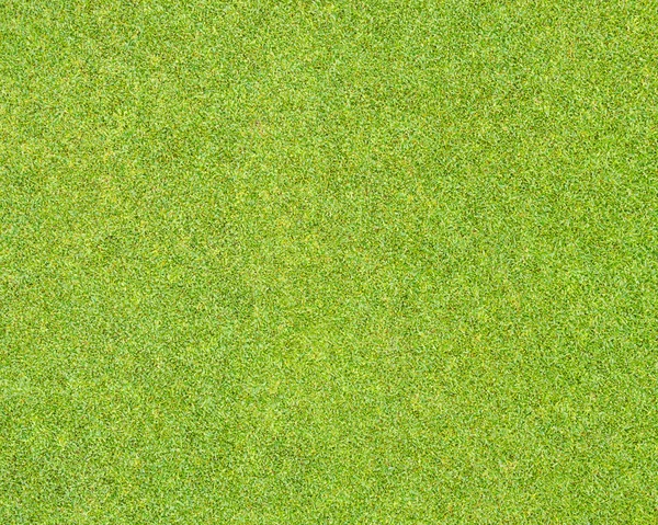 Green grass pattern — Stock Photo, Image