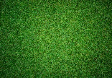 Arka plan ve güzel yeşil çim desen doku