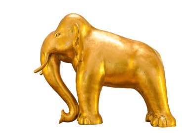 Altın fil ayakta 