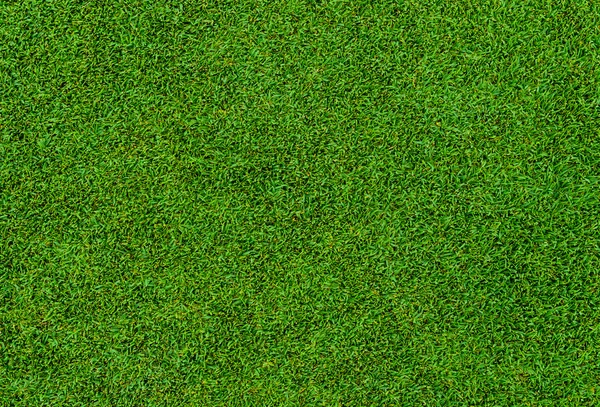 Фон и текстура зеленой травы с поля для гольфа — стоковое фото