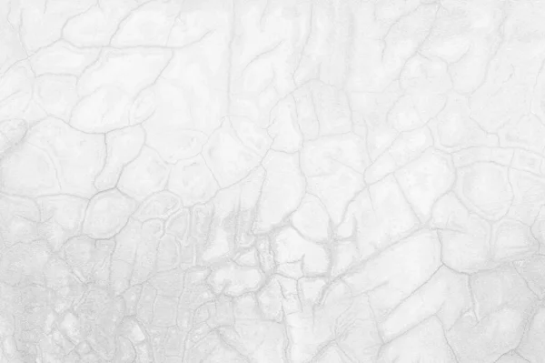 Fundo Textura Superfície Acabamento Parede Concreto Cinza Branco Abstrato Textura — Fotografia de Stock