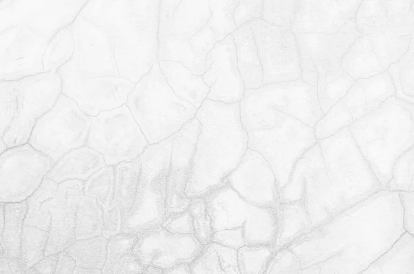 Background Texture Abstract White Gray Concrete Wall Finishing Surface Vintage — Stock Photo, Image