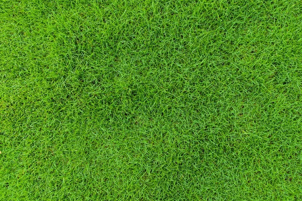 Fundo Textura Belo Padrão Grama Verde Campo Golfe — Fotografia de Stock