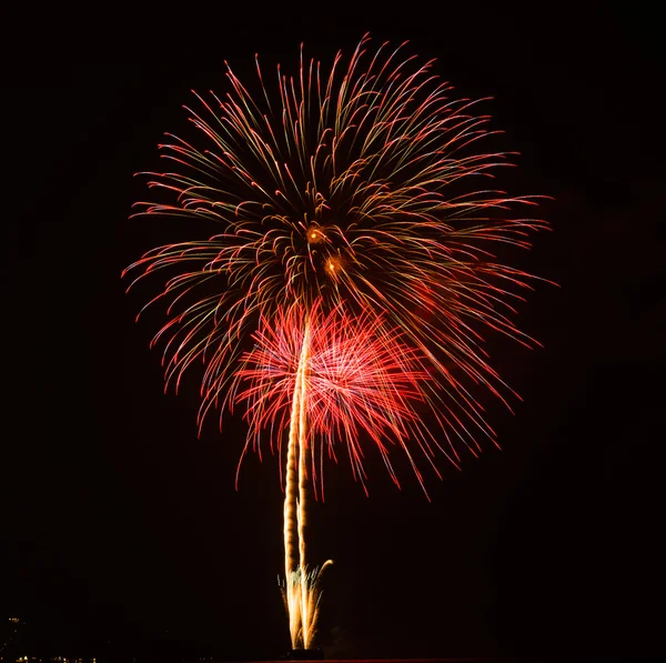 Fuegos artificiales en la noche — Foto de Stock