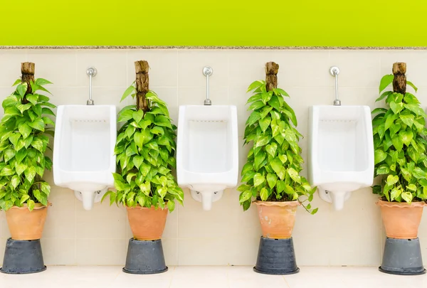 Interior do banheiro com linha urinal branca e plantas ornamentais — Fotografia de Stock