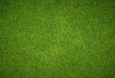 Golf sahasından güzel yeşil çimen deseni