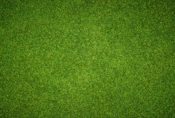 Beautiful green grass pattern from golf course — Stock Photo, Image