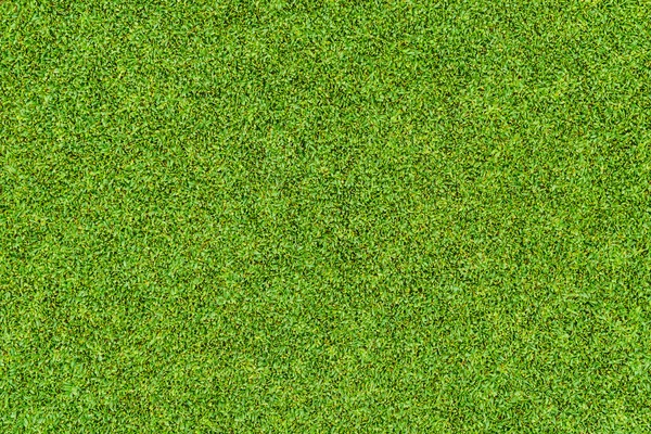 Beautiful green grass pattern from golf course — Stock Photo, Image