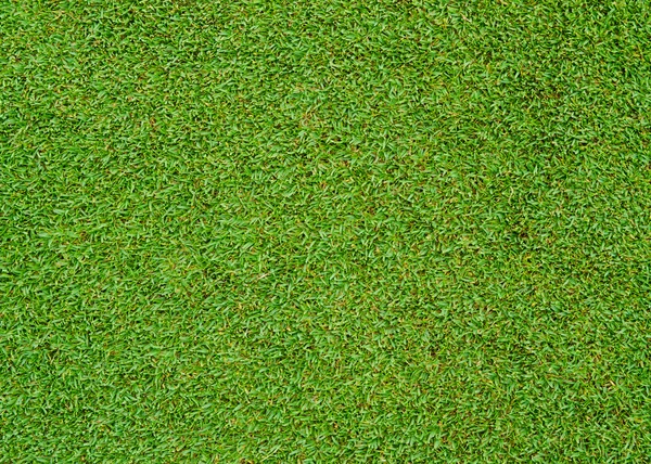 녹색 잔디 패턴 — 스톡 사진